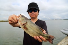 2016-05_sotonasakaura-25