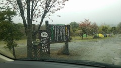 13199255_994767847281130_1307423776_o
