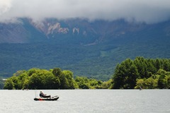 2014-4_Hibara_061 (1280x853)