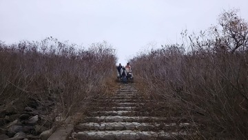 received_963955400427340