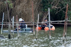 2016-05_sotonasakaura-11