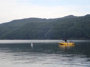 P9013293