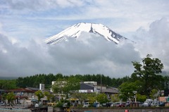 DSC_0210_R