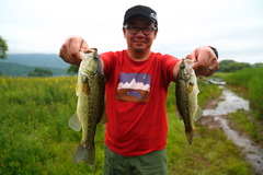 2016-04_hibarako_037