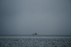 IMG_1081X