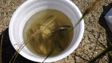 received_872440349578846