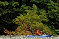 2014-4_Hibara_052 (1280x853)