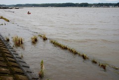 DSC_0446 (2560x1713) (1280x857)