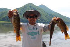 2015-4_AKIMOTO速報用_08