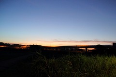 2012FBI_5_ushiku_0005