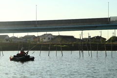 2012FBI_5_ushiku_0017