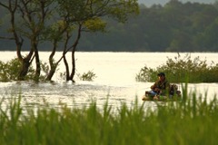 2014-4_Hibara_019 (1280x853)