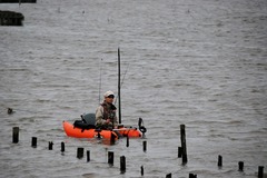 DSC_0447 (2560x1705) (1280x853)