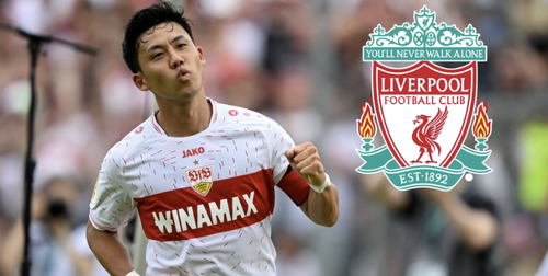 スクリーンショット 2023-08-18 4.41.33