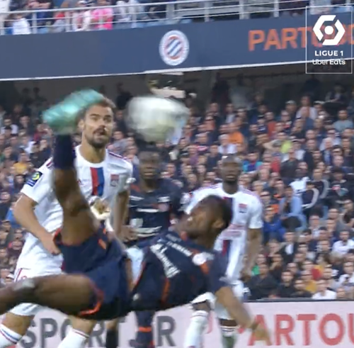 スクリーンショット 2023-06-01 4.26.27