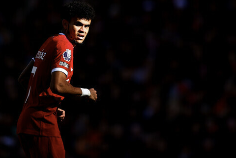 スクリーンショット 2023-10-30 4.11.34