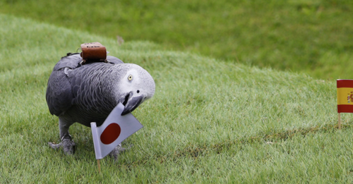 スクリーンショット 2024-08-02 3.55.36