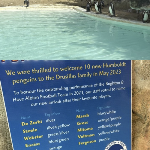 スクリーンショット 2026-04-15 5.22.12