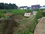 42d054e1.JPG