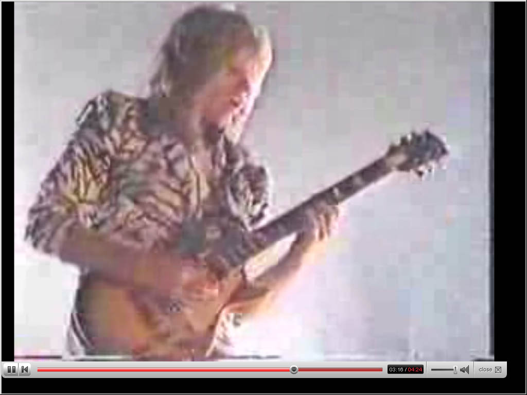 ヴァンデンバーグ : やっぱりギターがスキ！