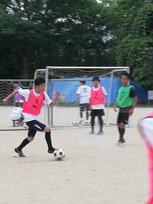 IMG_20190604_172354_BURST015