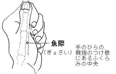 私のツボ生活 その4 フェミニストカウンセリング堺 スタッフ日記 私のツボ生活 その4 フェミニストカウンセリング堺 スタッフ日記