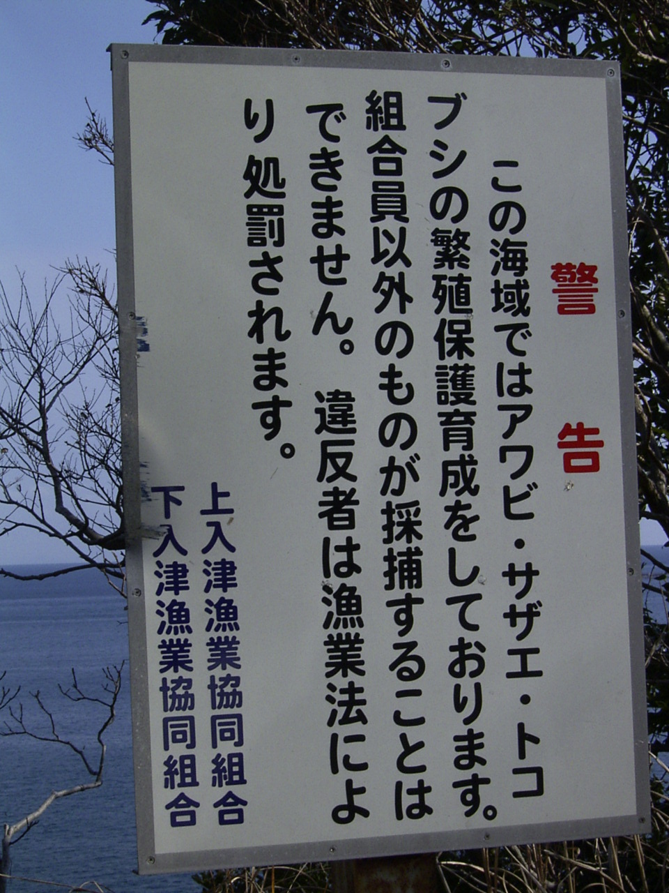 警告文 釣り人立入禁止場所 大分県佐伯釣り情報モバイル 自分用