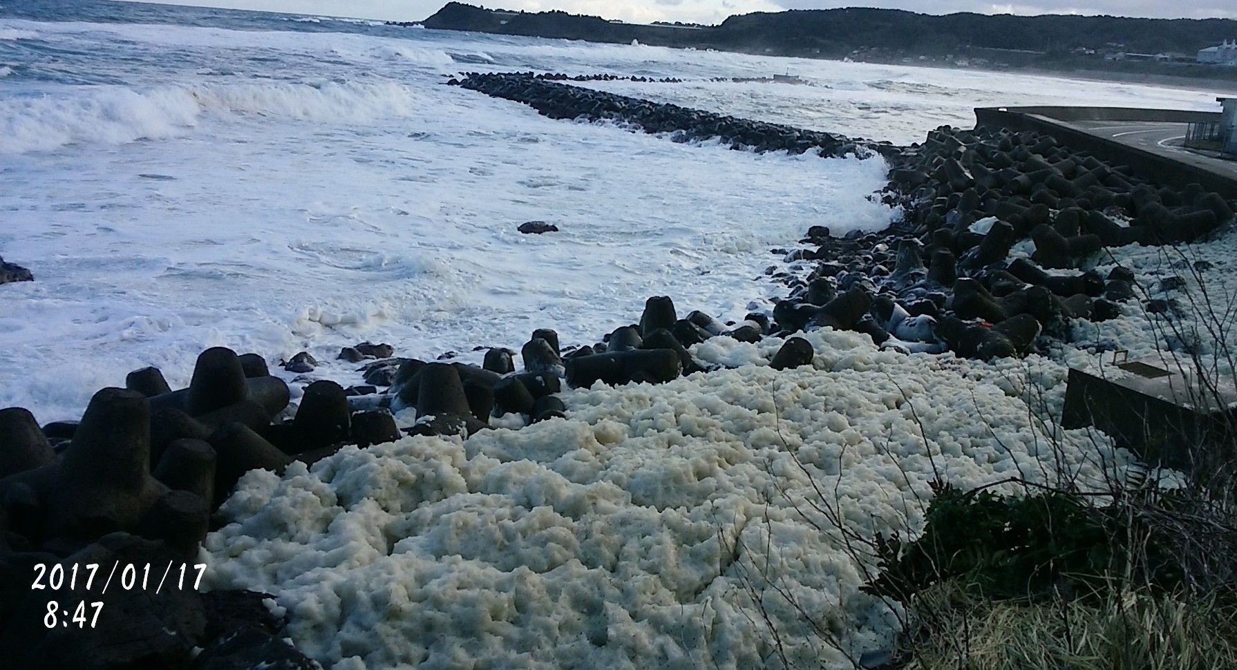 波の華 黒ラブレンのブログ
