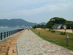 P5260028