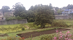 20080923094031