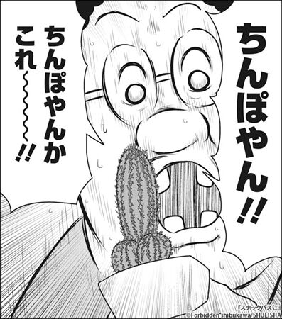 s-043