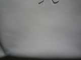 s-P1000672