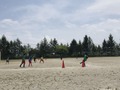 20190526Îý½¬Ãæ