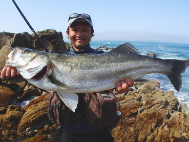 宮城磯マル15 その３ Fishing Club Search Report