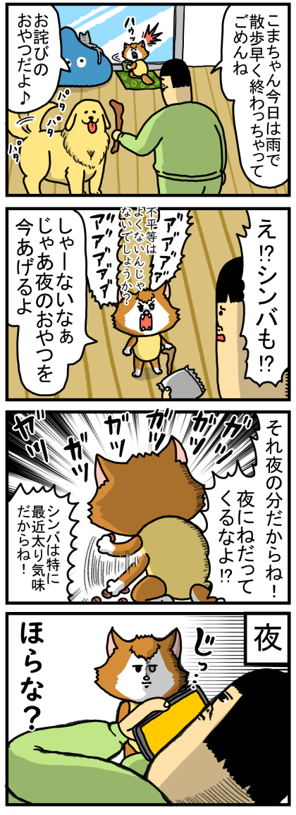 うちの猫が唯一、諦めない心を魅せるモノ