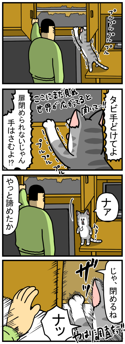 相変わらずタイミングが悪すぎる猫