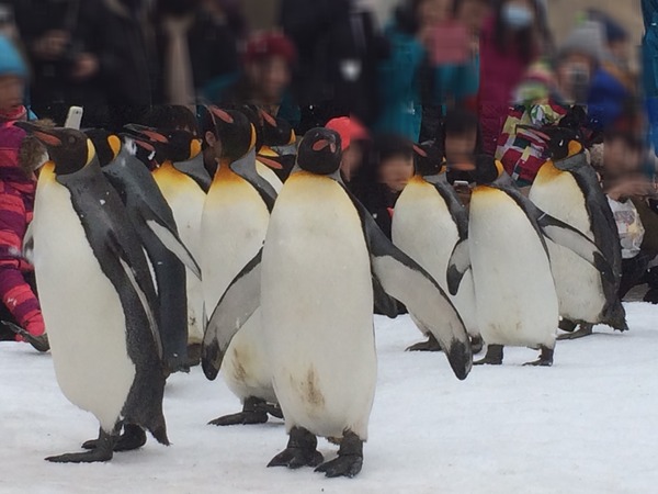 フォーデイズ⑭