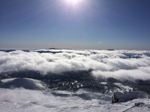 フォーデイズ22