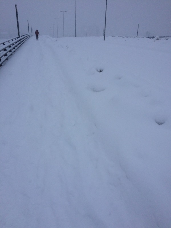 フォーデイズ③