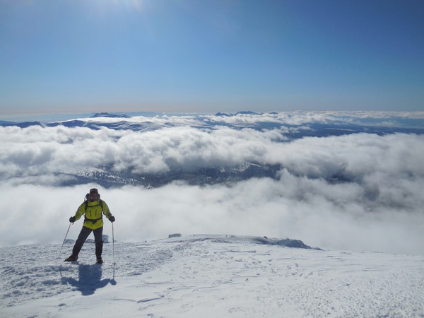 フォーデイズ23