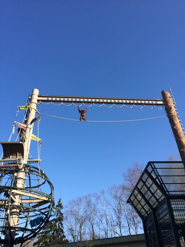 フォーデイズ⑮