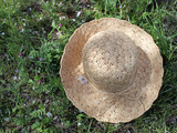 e0009_1024x768