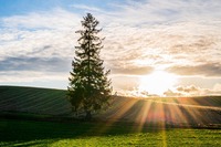 E887AAE784B6E58589-1024x681