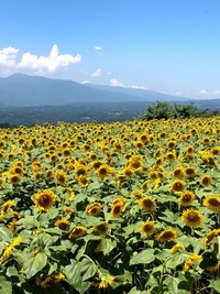 IMG_2835[1]