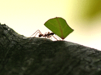 b0019750_01483836[1]