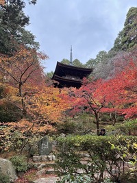 IMG_6376