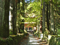 20111031145847_02[1]