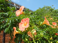 015