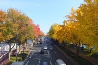 c8a57033670da89e183d1000eced6371[1]