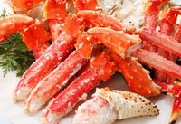 WS001609[1]